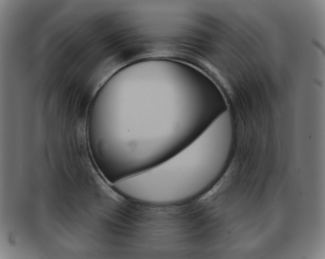 X0000091891417200709051036
