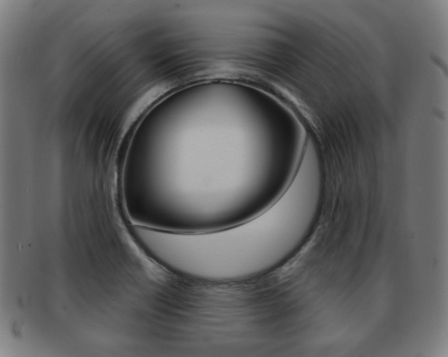 X0000091891418200709051036