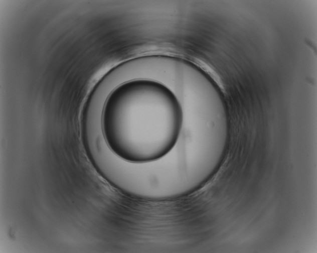 X0000091891419200709051036
