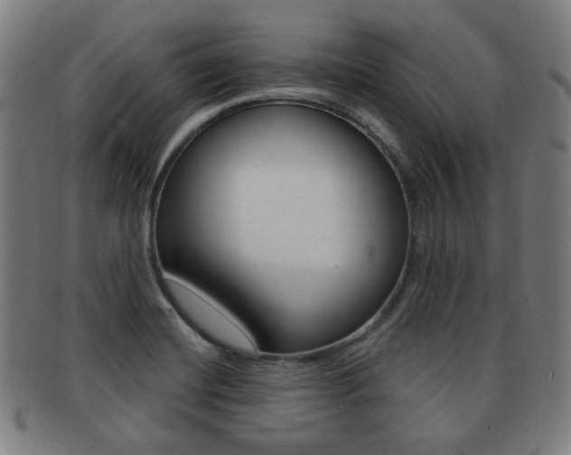 X0000091891420200709051036