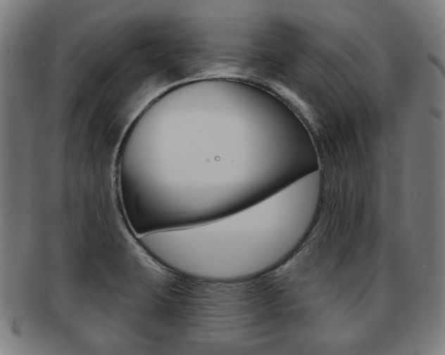 X0000091891423200709051036