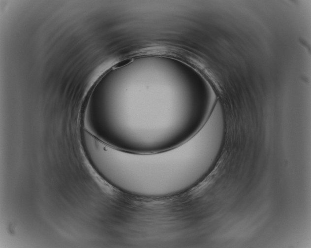 X0000091891426200709051036
