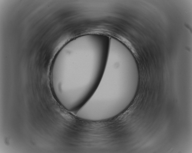 X0000091891427200709051036