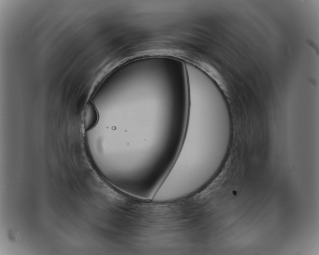X0000091891428200709051036