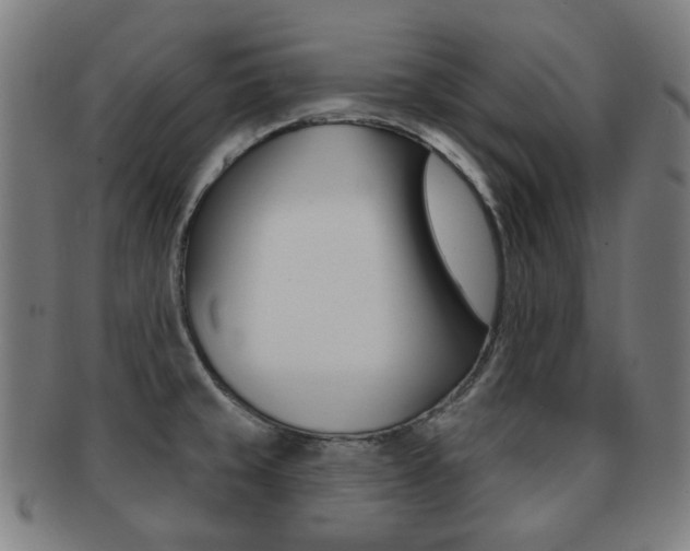 X0000091891429200709051036