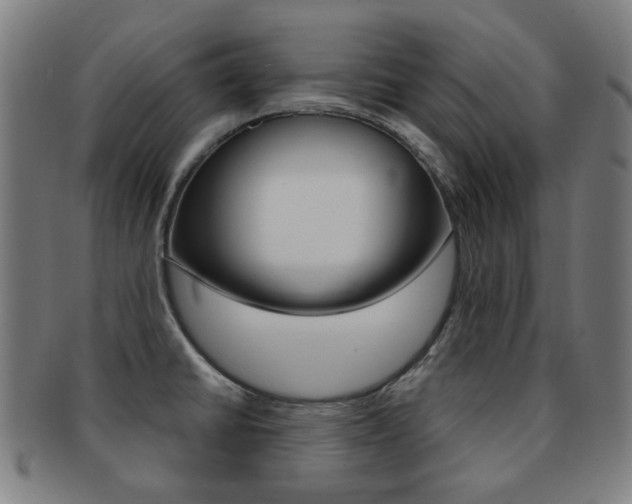 X0000091891430200709051036