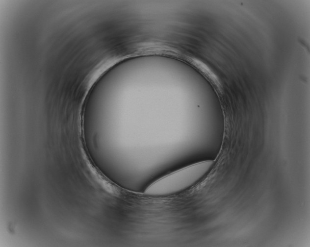 X0000091891431200709051036