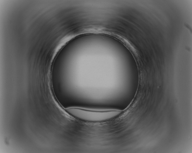 X0000091891432200709051036