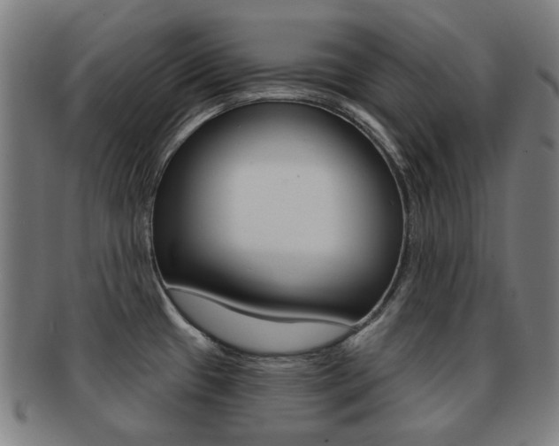 X0000091891433200709051036