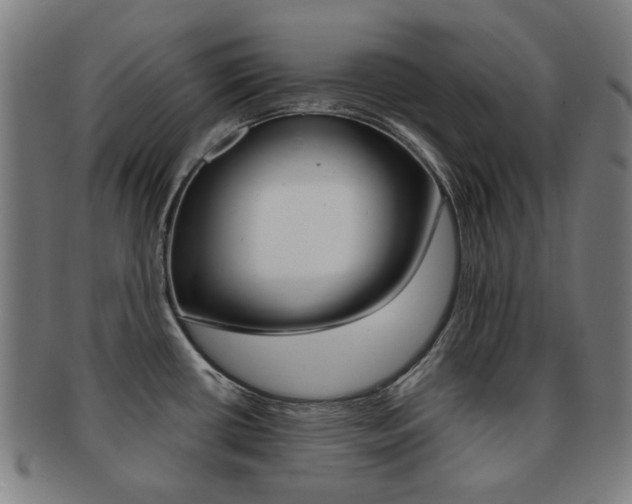 X0000091891434200709051036