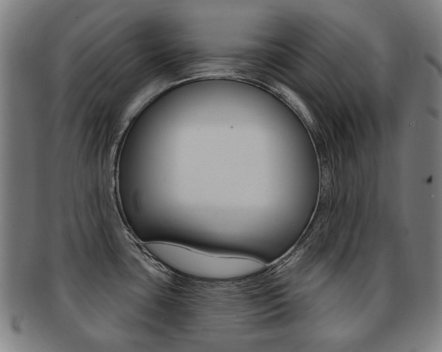 X0000091891435200709051036