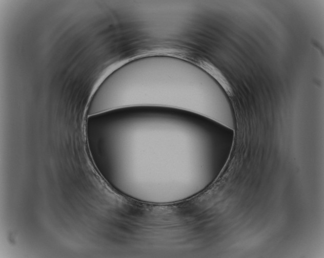 X0000091891436200709051036