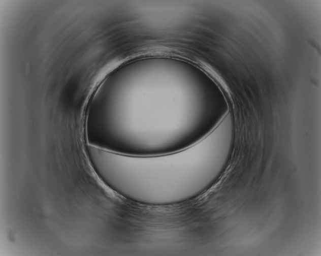 X0000091891437200709051036