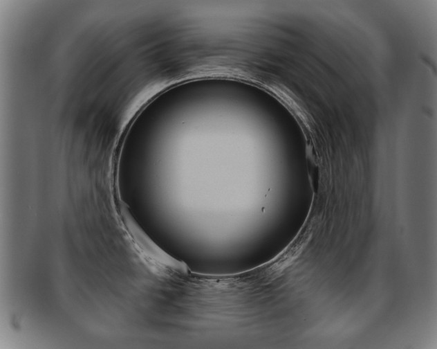 X0000091891438200709051036