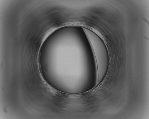 X0000091891440200709051036