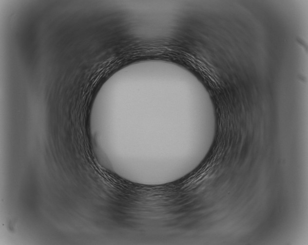 X0000091891441200709051036