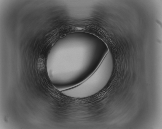 X0000091891442200709051035