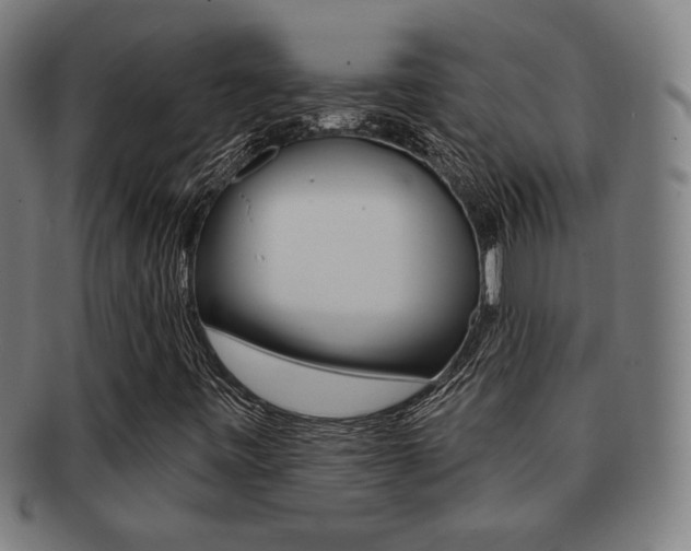 X0000091891443200709051035