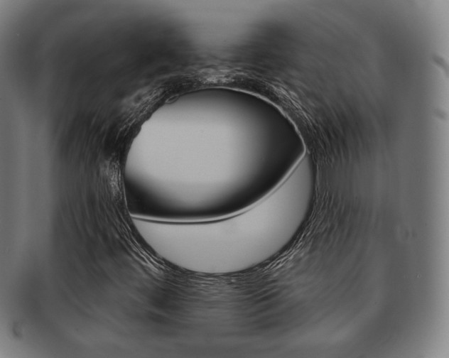 X0000091891444200709051035