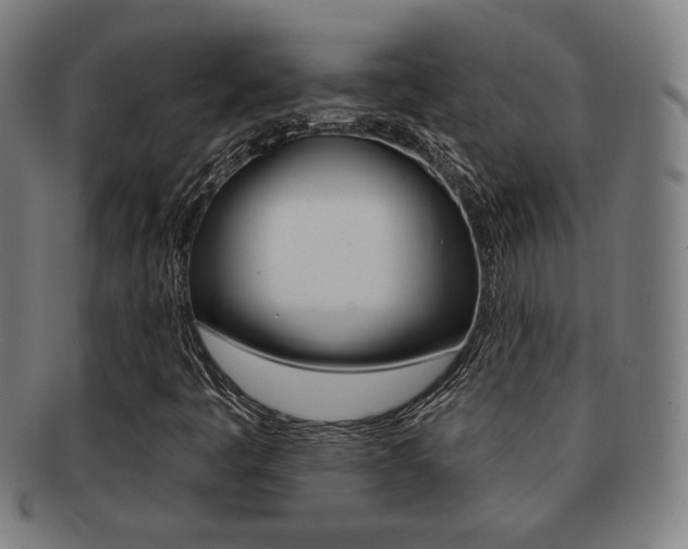 X0000091891445200709051035