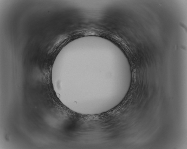 X0000091891446200709051035