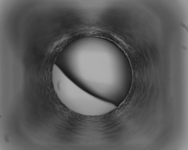 X0000091891447200709051035