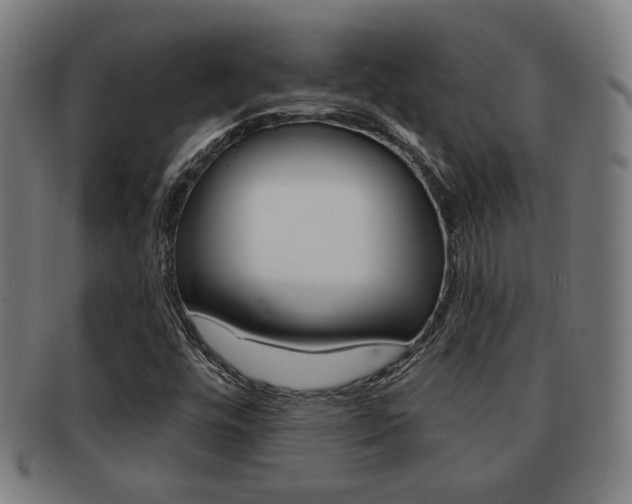 X0000091891448200709051035