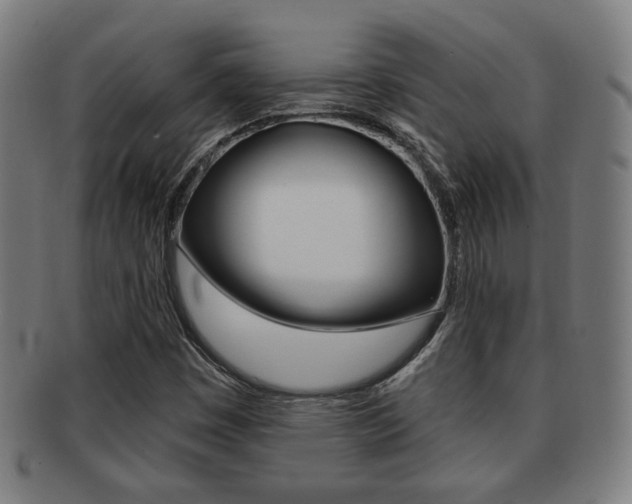 X0000091891449200709051035