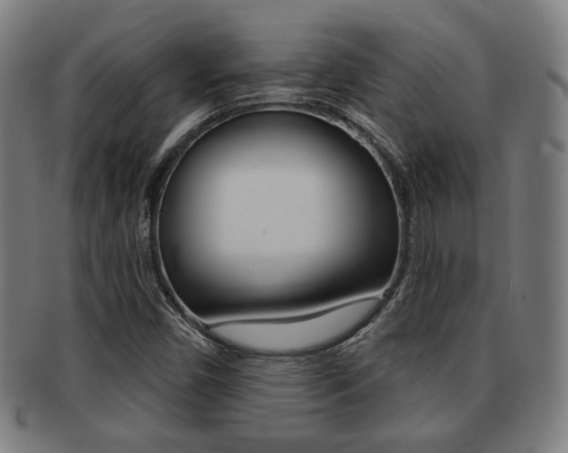 X0000091891450200709051035