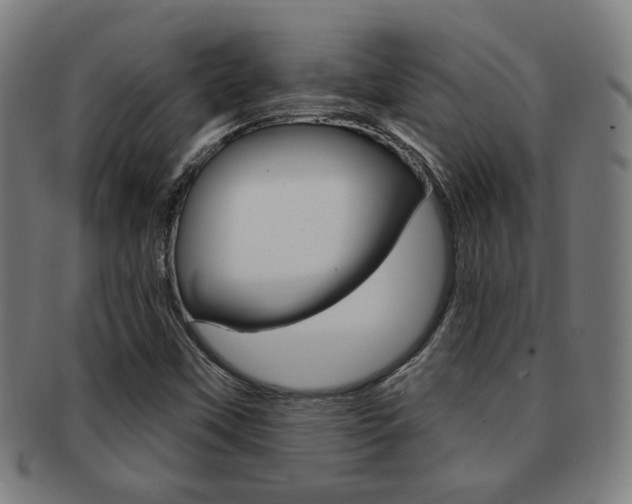 X0000091891451200709051035