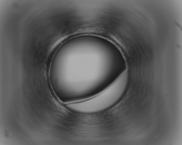 X0000091891452200709051035