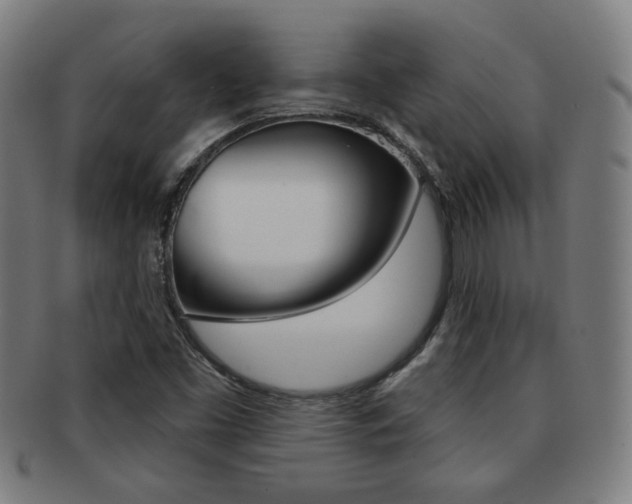 X0000091891453200709051035