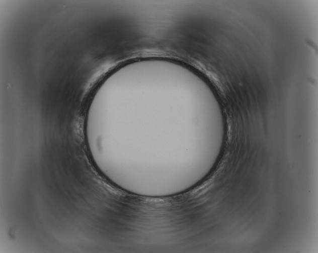 X0000091891454200709051035