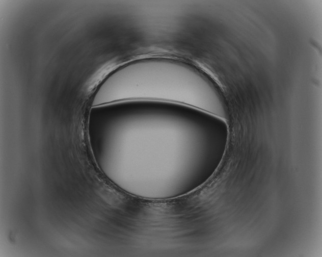 X0000091891455200709051035
