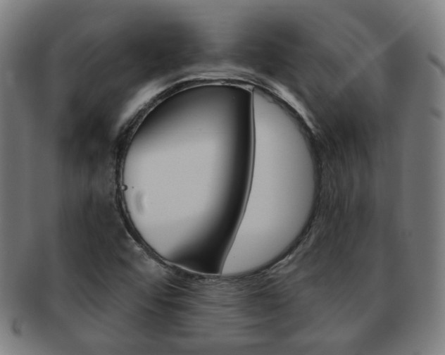 X0000091891456200709051035