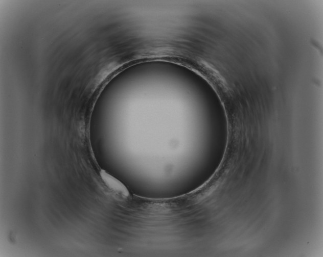 X0000091891457200709051035