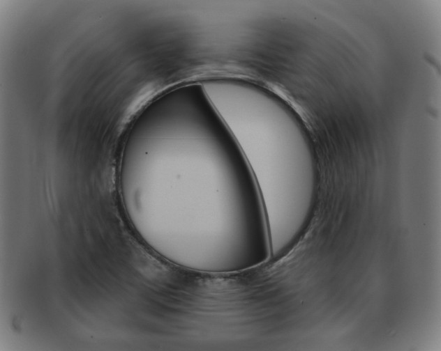 X0000091891459200709051035