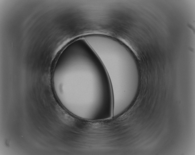 X0000091891460200709051035