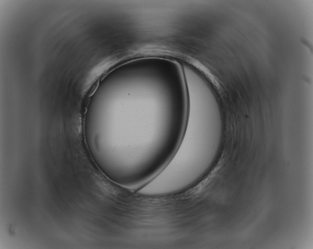 X0000091891461200709051035