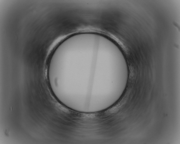 X0000091891462200709051035