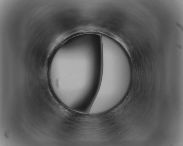 X0000091891464200709051035