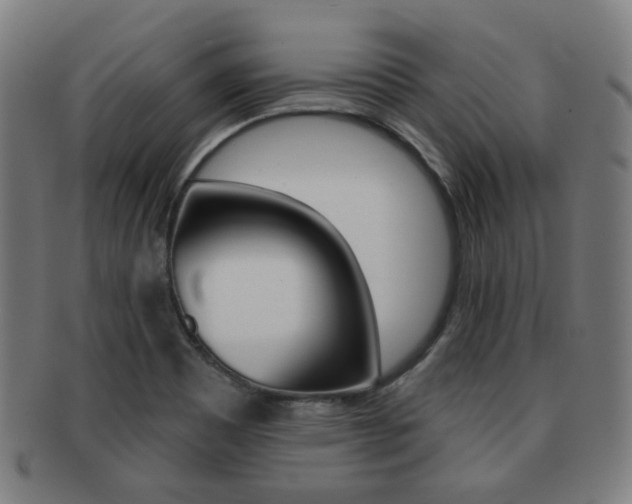 X0000091891465200709051035
