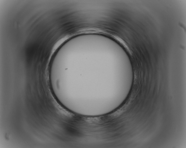 X0000091891466200709051035