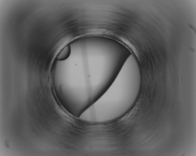 X0000091891467200709051035