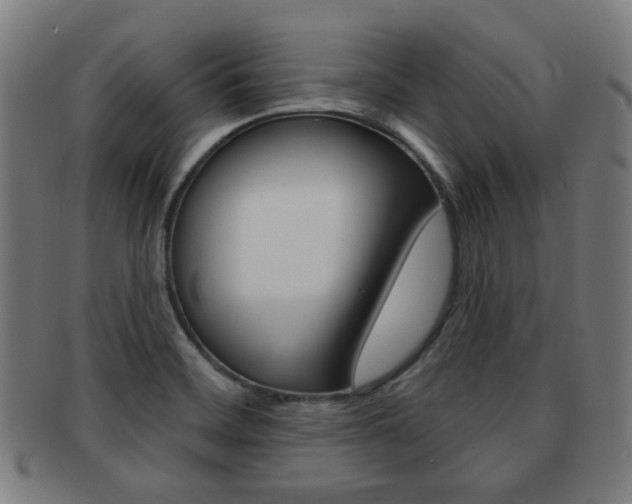 X0000091891468200709051035