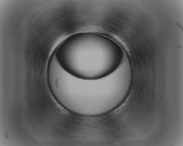 X0000091891469200709051035