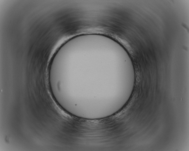 X0000091891470200709051035