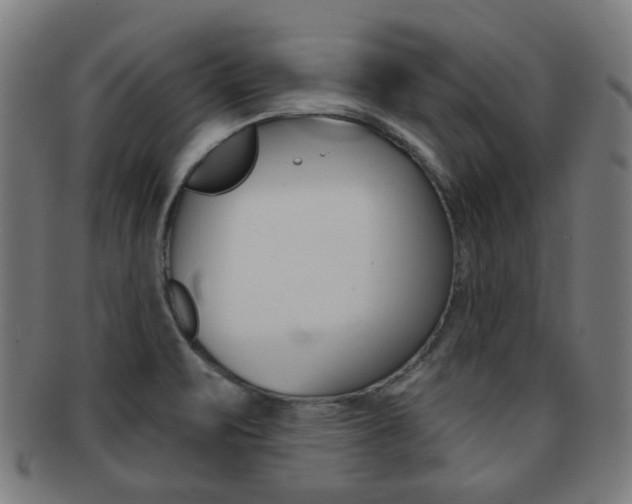 X0000091891471200709051035