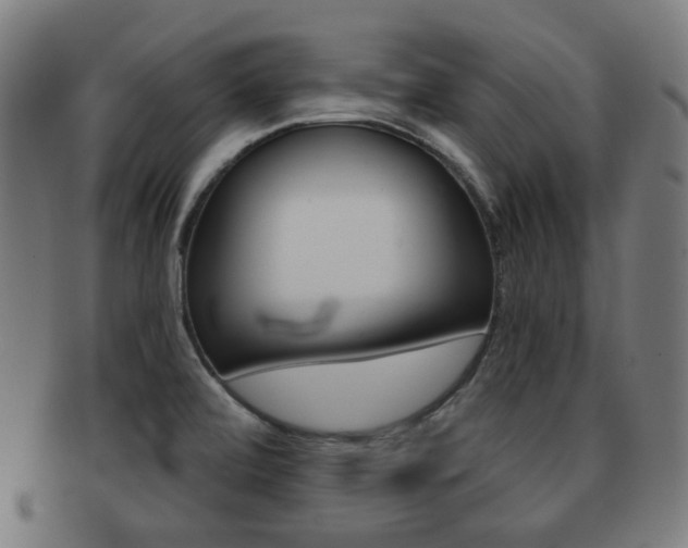 X0000091891472200709051035