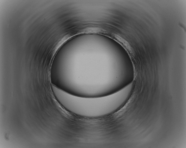 X0000091891473200709051035